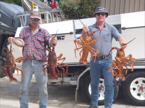 Island View Retreat - Accommodation Nelson Bay 2