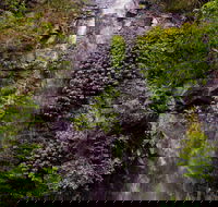 Nimbin Waterfall Retreat - Accommodation Nelson Bay
