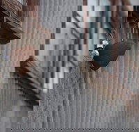 Our Little Gem B B - Accommodation Nelson Bay