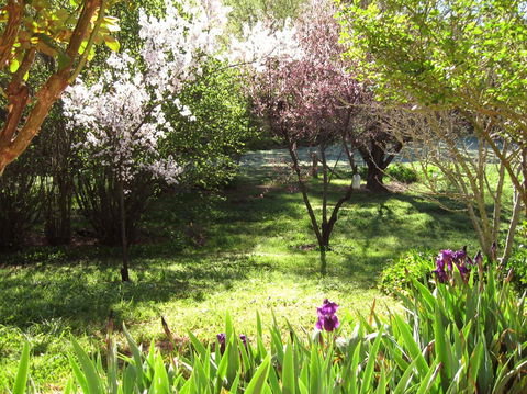 Sofala Cottage - Accommodation Nelson Bay 0