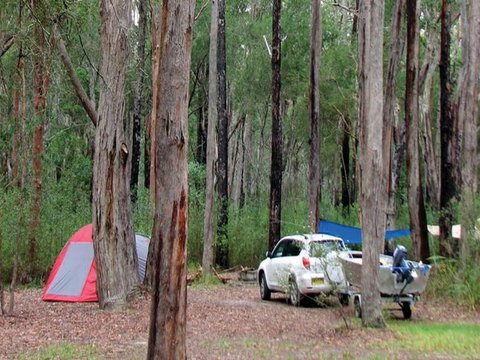 Wallingat River Campground - Accommodation Nelson Bay 0