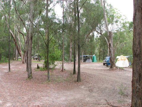 Wallingat River Campground - Accommodation Nelson Bay 1