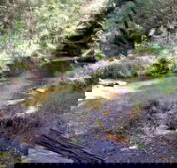 Wheeny Creek campground - Accommodation Nelson Bay