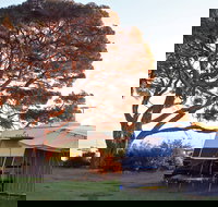 WhiteCliffs to Camerons Bight Foreshore Reserve - Accommodation Nelson Bay