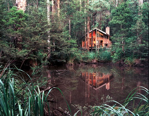 Woodlands Rainforest Retreat - Accommodation Nelson Bay 0