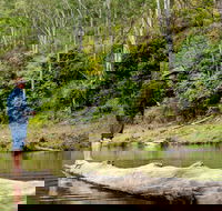 Bass Lodge - Accommodation Nelson Bay