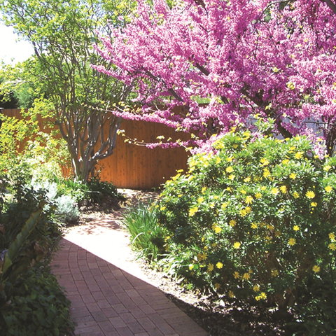 Country Gardens Motor Inn - Accommodation Nelson Bay 1