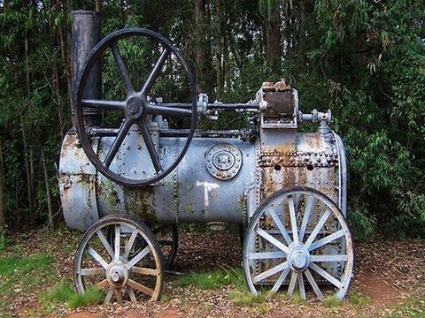 Dingo Tops Campground - Accommodation Nelson Bay 1