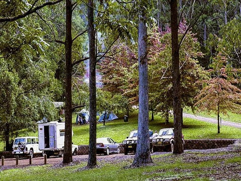 Dingo Tops Campground - Accommodation Nelson Bay 2