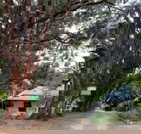 Fernleigh Accommodation - Accommodation Nelson Bay