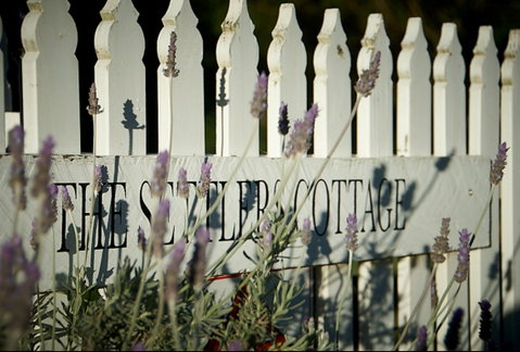 Mayfield Vineyard Cottages - Accommodation Nelson Bay 0