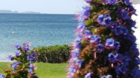 Rock Lobster - Accommodation Nelson Bay 2