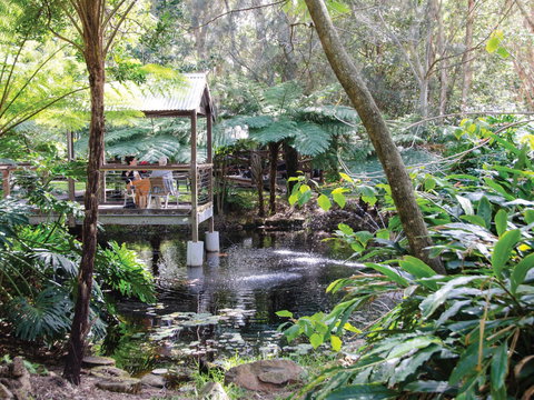 The Oasis And Wellness Centre  At One Mile Beach - Accommodation Nelson Bay 2