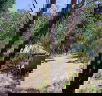 The Barracks campground - Accommodation Nelson Bay