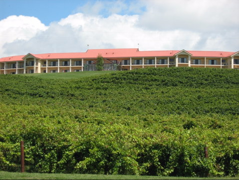 Turners Vineyard Motel - Accommodation Nelson Bay 0