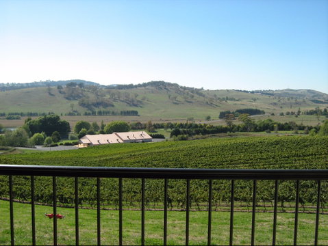 Turners Vineyard Motel - Accommodation Nelson Bay 2