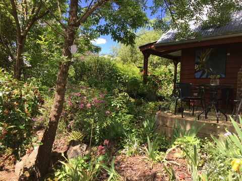 Artscape Cottage Beechworth - Accommodation Nelson Bay 2