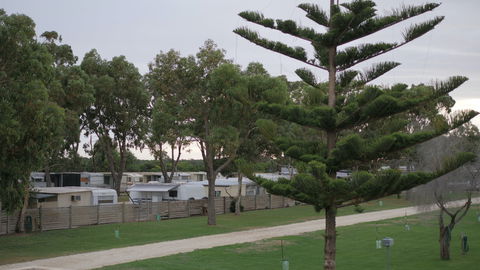 Cape Jaffa Caravan Park - Accommodation Nelson Bay 2