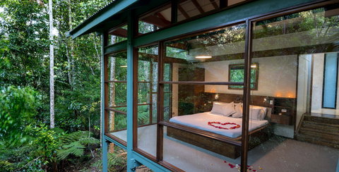 Crystal Creek Rainforest Retreat - Accommodation Nelson Bay 2