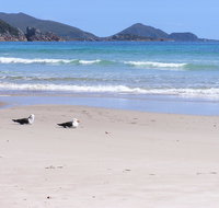 Eagles Rise Tasmania - Accommodation Nelson Bay