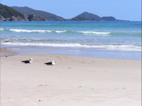 Eagles Rise Tasmania - Accommodation Nelson Bay 0
