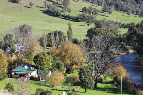 Elm Cottage Tumut - Accommodation Nelson Bay 1