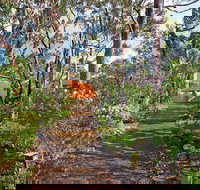 Sea View Lodge - Accommodation Nelson Bay