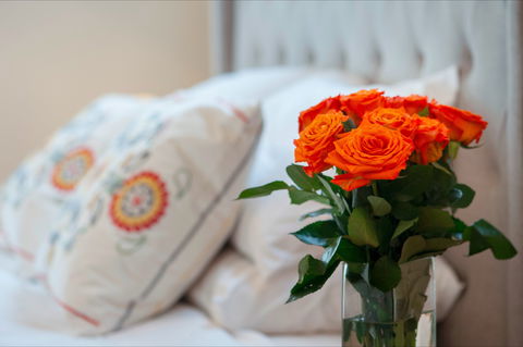 The Nest At Gundaroo - Accommodation Nelson Bay 1
