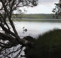 The Cove - Accommodation Nelson Bay