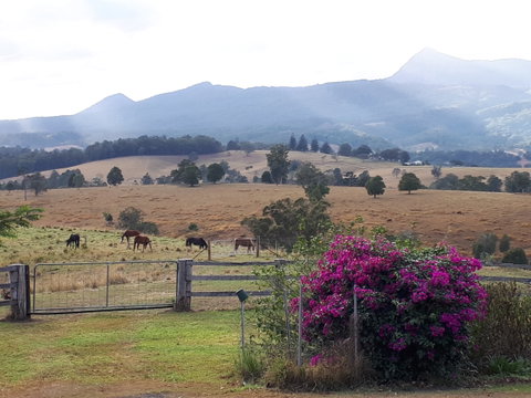 The Barn  House Farm Stay At Possum Manor - Accommodation Nelson Bay 0
