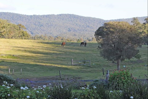 Wallaby Cottage - Accommodation Nelson Bay 0