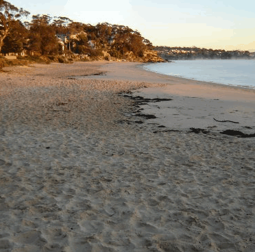 Beachhaven Bed & Breakfast - Nelson Bay Accommodation.com 5