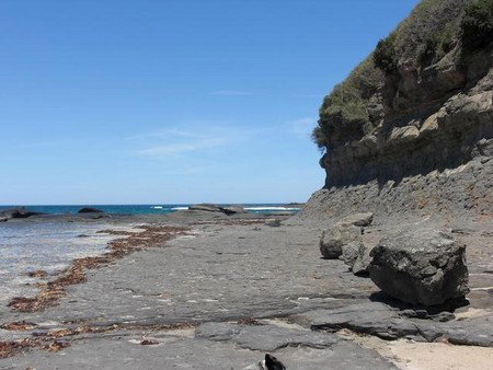 Dolphins Point Tourist Park - Accommodation Nelson Bay 4