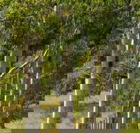 Stringybark Cottages - Accommodation Nelson Bay