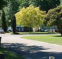 Mitchell Gardens Holiday Park - Accommodation Nelson Bay