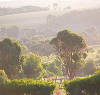 Mackas Farm - Accommodation Nelson Bay