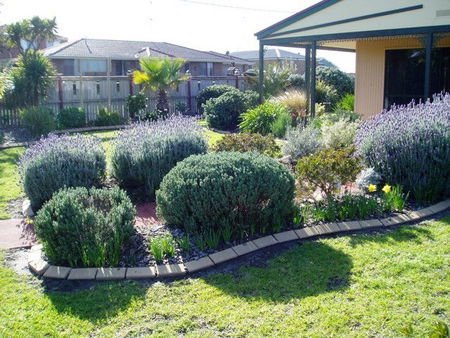 Bells By The Beach Holiday House - Accommodation Nelson Bay 4