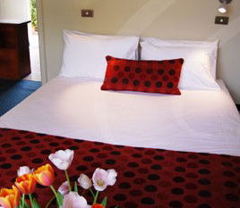 Parade Inn - Accommodation Nelson Bay 2