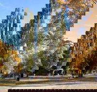 Omeo Caravan Park - Accommodation Nelson Bay