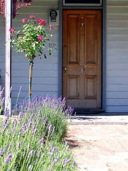 Airleigh - Rose Cottage - Accommodation Nelson Bay 2