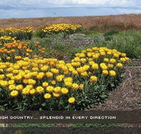 Alpine View Apartments - Accommodation Nelson Bay