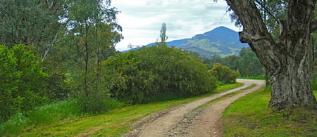 Baranduda Homestead - Nelsons Bay Accommodation 1