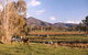 Baranduda Homestead - thumb 5