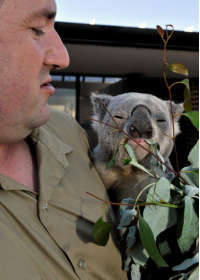 Consise By Moonlight Head Private Lodges - Accommodation Nelson Bay 5
