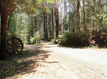 Hill N Dale Farm Cottages - Accommodation Nelson Bay 0