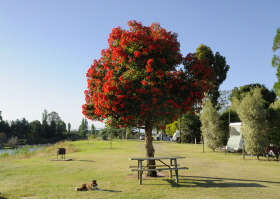 Stratford On The River Tourist Park - Accommodation Nelson Bay 2