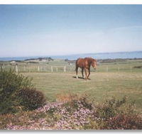 First Class Bed and Breakfast - Accommodation Nelson Bay