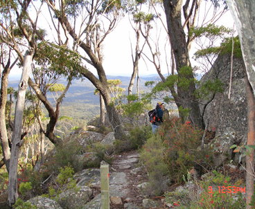 Mallacoota Hotel Motel - Accommodation Nelson Bay 3