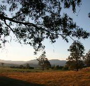 Cann River Rainforest Caravan Park - Accommodation Nelson Bay