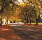 La Trobe at Beechworth - Accommodation Nelson Bay